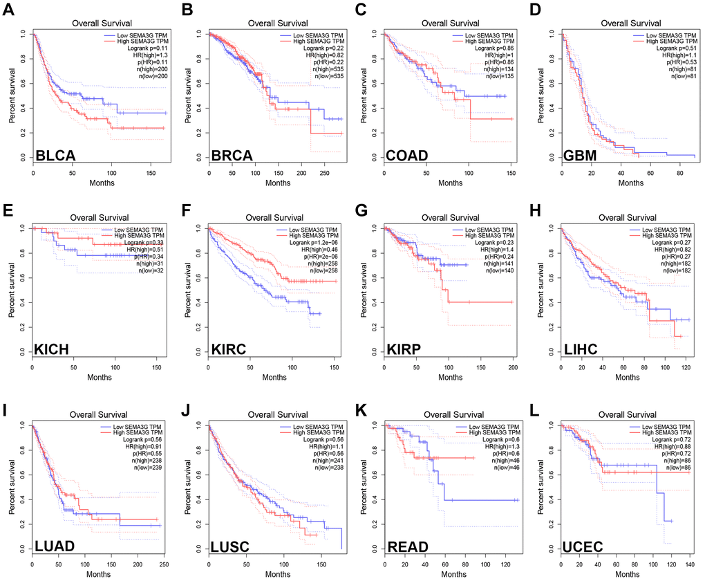 The overall survival (OS) analysis for SEMA3G in different types of human cancer was determined by GEPIA database. The OS plot of SEMA3G in BLCA (A), BRCA (B), COAD (C), GBM (D), KICH (E), KIRC (F), KIRP (G), LIHC (H), LUAD (I), LUSC (J), READ (K) and UCEC (L).