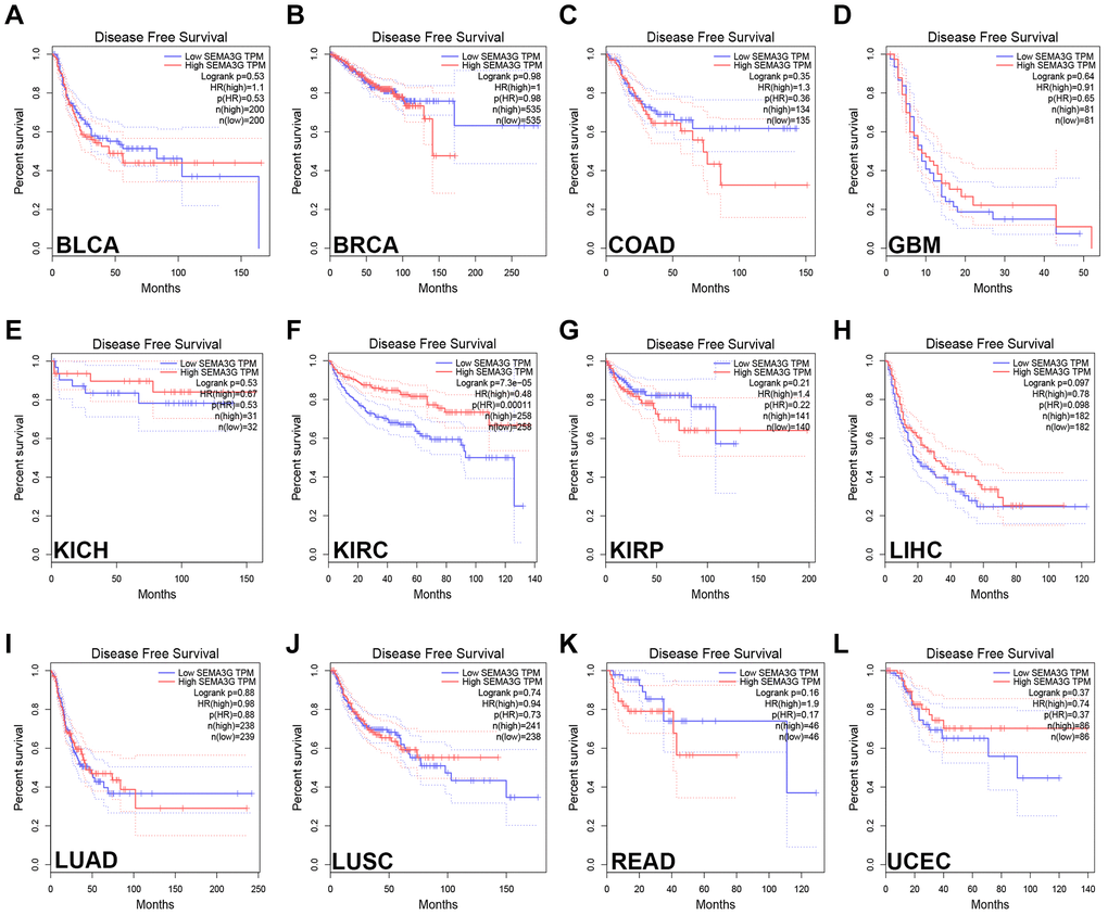The disease-free survival (RFS) analysis for SEMA3G in different types of human cancer was determined by GEPIA database. The RFS plot of SEMA3G in BLCA (A), BRCA (B), COAD (C), GBM (D), KICH (E), KIRC (F), KIRP (G), LIHC (H), LUAD (I), LUSC (J), READ (K) and UCEC (L).