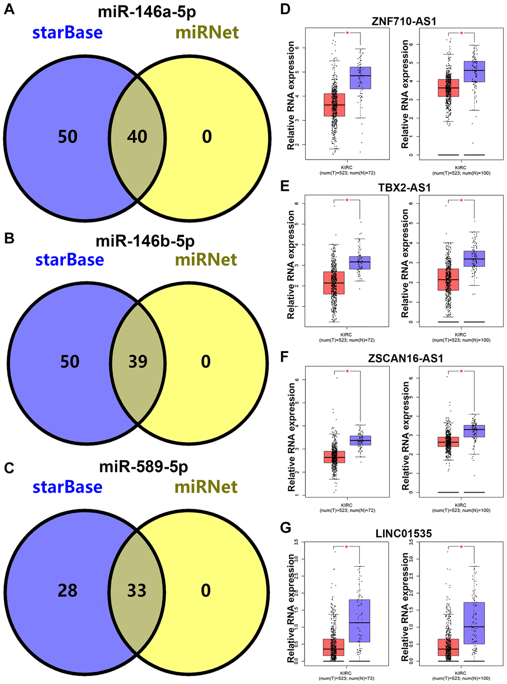 Prediction and analysis for upstream lncRNAs of candidate miRNAs in KIRC. The intersection analysis for lncRNAs of miR-146a-5p (A), miR-146b-5p (B) and miR-589-5p (C) predicted by starBase and miRNet databases. The expression levels of ZNF710-AS1 (D), TBX2-AS1 (E), ZSCAN16-AS1 (F) and LINC01535 (G) in KIRC compared with normal controls. *P 