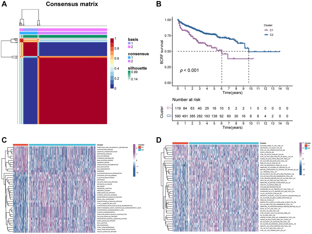 The consensus clustering of ERS-related genes predicted the BCRF survival of PRAD patients. (A) The consensus matrix (k = 2) was acquired using the NMF method. (B) Kaplan-Meier analysis demonstrated that cluster 2 had a significantly better BCRF survival. (C, D) GSVA analysis for pathways enrichment and immunological functions.