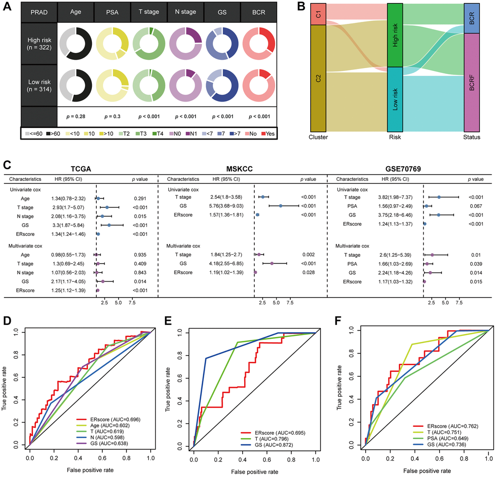 The prognostic value of ERscore and clinical variables. (A) Relationship between ERscore and clinical features. (B) Correlations between consensus clustering and ERscore of PRAD patients. (C) Univariate and multivariate Cox regression analyses of ERscore and clinical features in TCGA, MSKCC, and GSE91061 cohorts. (D–F) ROC method revealed the prognostic significance of ERscore in TCGA, MSKCC, and GSE70769 cohorts, respectively.