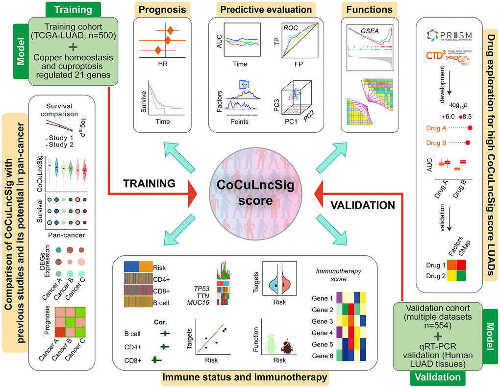 Flowchart of the main steps, design, and analysis process of this study [80]. Abbreviations: TCGA: The Cancer Genome Atlas; LUAD: lung adenocarcinoma; CoCuLncSig: copper homeostasis and cuproptosis regulated lncRNA signature; HR: hazard ratio; ROC: receiver operating characteristic; AUC: area under the ROC curve; TP: true positive rate; FP: false positive rate; PC: principal component; GSEA: gene set enrichment analysis; CMap: Connectivity Map; DEGs: differentially expressed genes; qRT-PCR: quantitative real-time PCR.