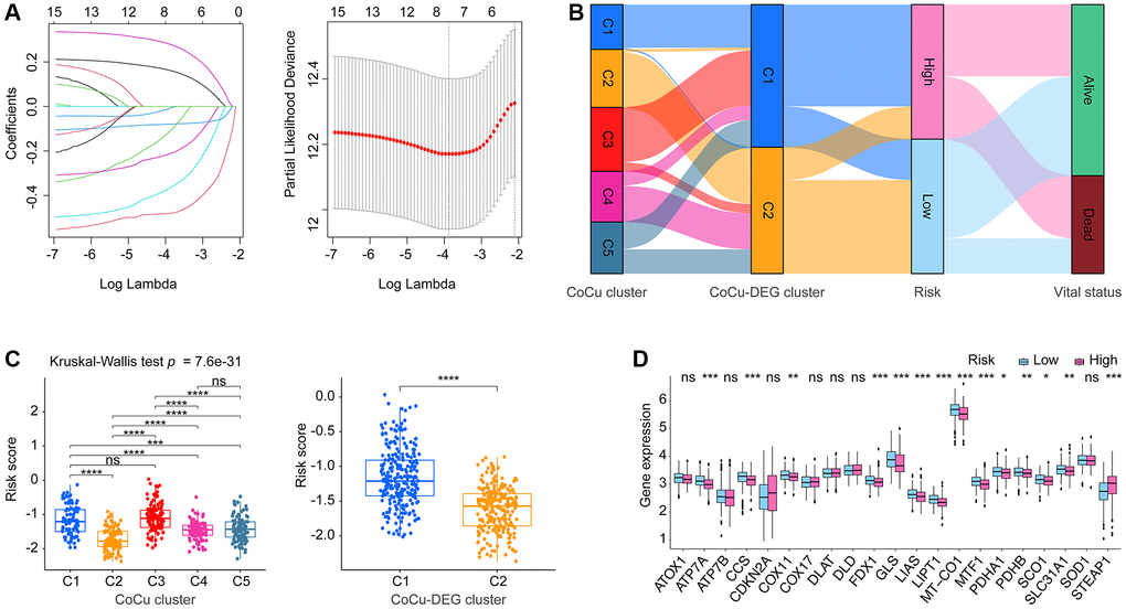 The establishment of the risk model CoCuLncSig and its basic performance demonstration. (A) This visualization depicts the reduction of dimensionality for prognostic lncRNAs through the use of the LASSO algorithm. The left section of the visualization displays the LASSO coefficient profile for the examined prognostic lncRNAs, while the right section illustrates the LASSO regression process employing ten-fold cross-validation and minimal Lambda to identify eight prognostic lncRNAs. (B) The relationship between CoCu clusters, CoCu-DEG clusters, risks, and vital status in general is illustrated by the Sankey diagram. The diagram reveals that a notable portion of the C1 clusters in CoCu-DEG display high-risk scores, while the majority of its C2 clusters exhibit low-risk scores. (C) The box plots on the left panel demonstrate distinct statistical variations in the distributions of risk scores across the five CoCu clusters. On the right panel, the box plots exhibit statistically different distributions of risk scores in the two CoCu-DEG clusters. (D) Box plots display expression pattern of the 21 copper homeostasis/cuproptosis-regulated genes in the high- and low-risk groups. CoCuLncSig: copper homeostasis and cuproptosis regulated lncRNA signature; CoCu clusters: clusters identified by copper homeostasis and cuproptosis correlated genes; CoCu-DEGs: differentially expressed genes identified among CoCu clusters; CoCu-DEG clusters: clusters identified by CoCu-DEGs; DEGs: differentially expressed genes; LASSO: least absolute shrinkage and selection operator; A P-value less than 0.05 was considered significant for statistical analysis; The notation * represents P-value less than 0.05, ** represents P-value less than 0.01, *** represents P-value less than 0.001, and **** represents P-value less than 0.0001.