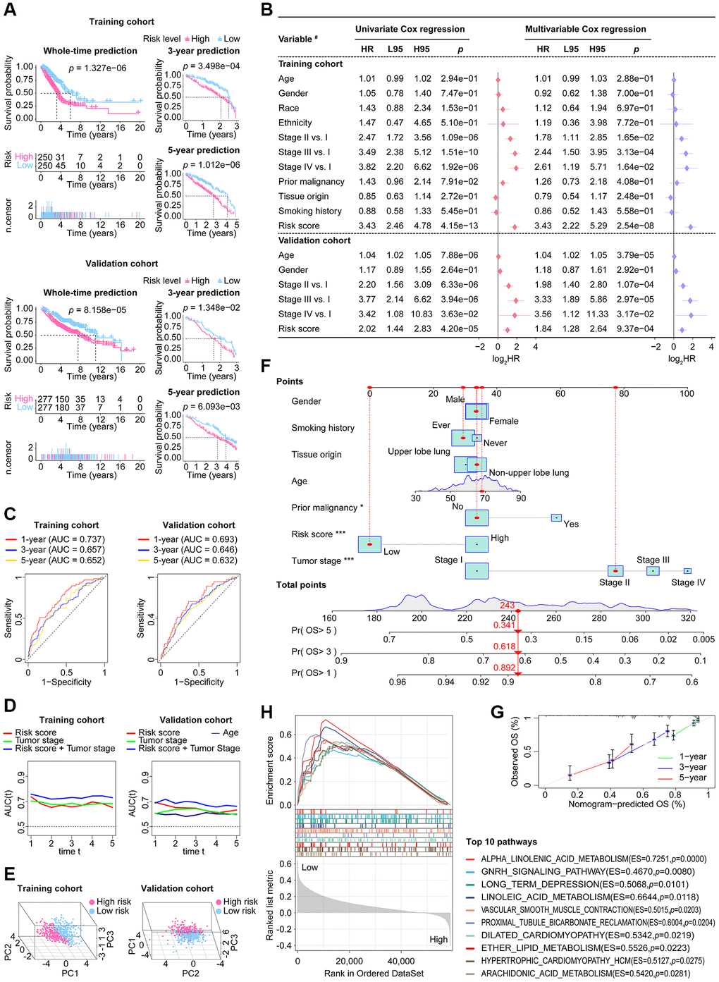 The stability and applicability of CoCuLncSig were validated in the study cohorts. (A) The prognostic value of CoCuLncSig was demonstrated through Kaplan-Meier analysis in both the training and validation cohorts, which also affirms its broad applicability. By using their median CoCuLncSig risk scores, patients were stratified into high- and low-risk groups, and Kaplan-Meier analysis revealed significant differences in survival between the two groups. (B) Univariate and multivariate Cox proportional hazards models were built, incorporating risk scores and several clinical variables. #: the types of variables involved in the studied cohorts. The types of variables included in the analysis were defined as follows: Gender (male vs. female), Race (white vs. non-white), Ethnicity (Hispanic or Latino vs. non-Hispanic or Latino), Prior malignancy (yes vs. no), Tumor origin (upper lobe lung vs. non-upper lobe lung), and Smoking history (ever vs. never). (C) ROC curves. Our signature’s accuracy in predicting LUAD outcomes at 1-year, 3-year, and 5-year intervals was evaluated using ROC curves. (D) The purpose of the tAUC analysis was to continually assess the prognostic precision of our signature relative to other clinical measures over successive time intervals. An increase in the AUC size is indicative of a more robust predictive accuracy of the model. (E) The principal component analysis visualization clearly indicates that the signature is capable of distinguishing the LUAD population. (F) A nomogram model was created that predicts the clinical outcome of LUAD patients using seven factors: risk score, tumor stage, age, grade, smoking history, prior malignancy, and tissue origin. This model forecasts the overall survival of patients for 1, 3, and 5 years in the TCGA-LUAD cohort. The significance of the results was indicated using asterisks, where * represents a p-value of *** represents a p-value of G) 1-, 3-, and 5-year overall survival calibration plots for LUAD patients based on the predictive nomogram model. These plots depict the predicted survival rate on the X-axis and the actual survival rate of LUAD patients on the Y-axis. The 45° line on the graph indicates the optimal predicted value. A curve that closely follows the 45° line indicates better results. (H) The GSEA analysis identified 10 KEGG pathways with the strongest association with CoCuLncSig. These pathways’ significance thresholds were established as p-value P-value was less than 0.05.