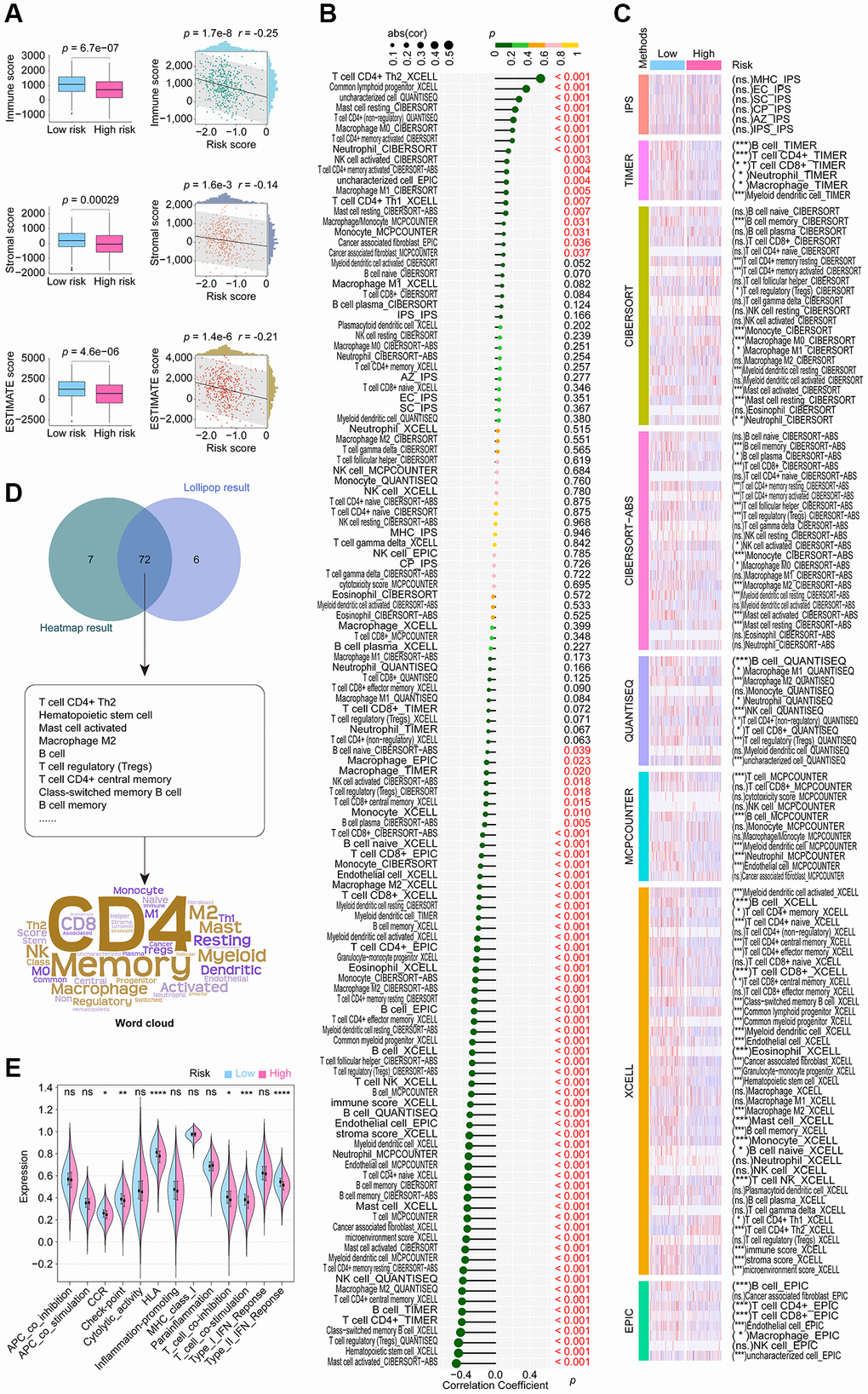 Extensive examination to investigate the correlation between CoCuLncSig and the tumor microenvironment status, immune cell infiltration, and immune function. (A) Boxplots compared the distribution of immune, stromal, and ESTIMATE scores between high and low-risk groups. The correlation of risk score with immune, stromal, and ESTIMATE scores was depicted using scatterplots. (B) Lollipop plots visualize the correlation of immune cell infiltration with CoCuLncSig scores. Here, the R language package “IOBR” generates the immune cell infiltration based on the training cohort data. (C) The heatmap demonstrates the immune cell infiltration distributions in high and low CoCuLncSig score population. (D) A Venn diagram (upper plot) depicts the intersection between the outcomes of the correlation analysis and the distributional differences. Word clouds (lower plot) were utilized to emphasize crucial immune cell-infiltrating cell types that emerged from this intersection. (E) The violin plots display variations in the immune function distribution between the high-risk and low-risk LUADs. CoCuLncSig: copper homeostasis and cuproptosis regulated lncRNA signature; LUAD: lung adenocarcinoma; A P-value below 0.05 was deemed as statistically significant. “ns” indicates non-significance, “*” represents a P-value below 0.05, “**” signifies a P-value below 0.01, “***” denotes a P-value below 0.001, and “****” indicates a P-value below 0.0001.