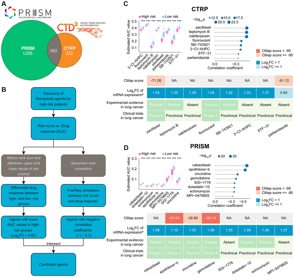 Identification of candidate drugs for high CoCuLncSig risk score patients. (A) The data for our drug prediction comes from the CTRP and PRISM databases, and the Venn diagram shows the compounds they include. (B) The flowchart shows the steps we explored in the drug databases of CTRP and PRISM, respectively, mainly including the Wilcoxon rank sum and the Spearman correlation statistical algorithms. (C) A collection of potential drugs has been discovered in the CTRP drug database. The top portion displays eight drug candidates that were identified through Spearman correlation and differential drug response analyses. The lower section presents the validation of the most encouraging LUAD therapeutics with high CoCuLncSig scores, using evidence from various sources. (D) The PRISM drug database has revealed a set of potential drug candidates. The top section displays eight drug candidates that were identified through Spearman correlation and differential drug response analyses. The lower section showcases the validation process for the most promising LUAD therapeutics with high CoCuLncSig scores, drawing on evidence from various sources. CoCuLncSig: copper homeostasis and cuproptosis regulated lncRNA signature; LUAD: lung adenocarcinoma; FC: fold change; #: fold change differences of drug targets between tumor and normal tissue (> 0 represents up-regulated in tumor tissue); ***P-value P-value of less than 0.05 was considered statistically significant, denoted by an asterisk.