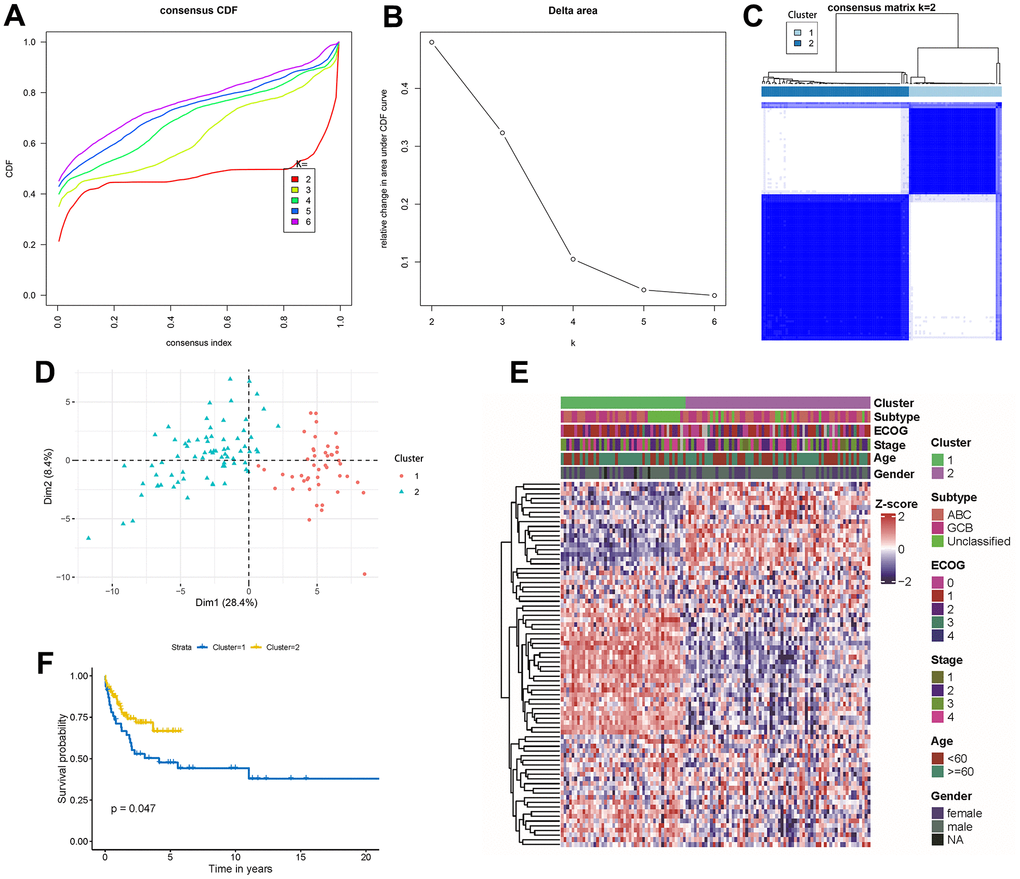 Unsupervised gene expression analysis of the discovery set of 119 DLBCL. (A) Consensus CDF with an increasing number of clusters (k2 to k6); (B) Delta area plot displaying the relative changes in the area under the CDF curve; (C) Consensus matrix heatmap defining 2 clusters of samples for which consensus values range from 0 (white) to 1 (blue); (D) Principal component analysis of the 80 autophagy-related genes between cluster 1 and cluster 2; (E) Gene expression profiles heatmap of the 80 autophagy-related genes across the two molecular subtypes. ECOG, stage, age, and gender classifications were ordered in colored columns and rows corresponding to 80 autophagy-related genes; (F) Kaplan-Meier curves of overall survival in the 2 molecular subtypes. CDF, cumulative distribution function.