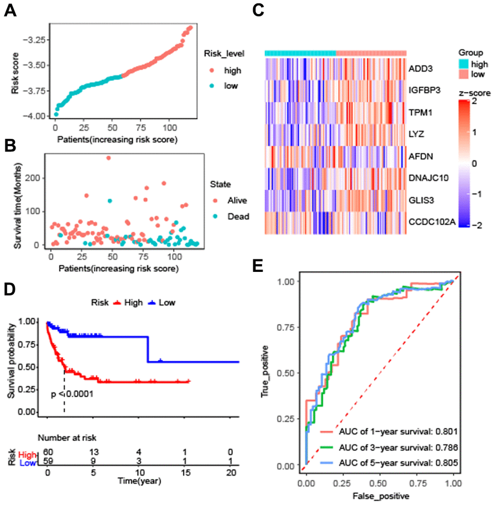 Effectiveness evaluation of the prognostic model for patients with diffuse large B-cell lymphoma based on the data set GSE53786. (A) The patients from GEO were divided into high-risk and low-risk groups based on the median of the risk scores; (B) The distribution of survival time of patients in alive or dead status; (C) The heatmap of 8 autophagy-related genes expression between high-risk and low-risk groups; (D) Kaplan-Meier curves of high-risk and low-risk groups (P E) The AUC scores at 1, 3, and 5 years.