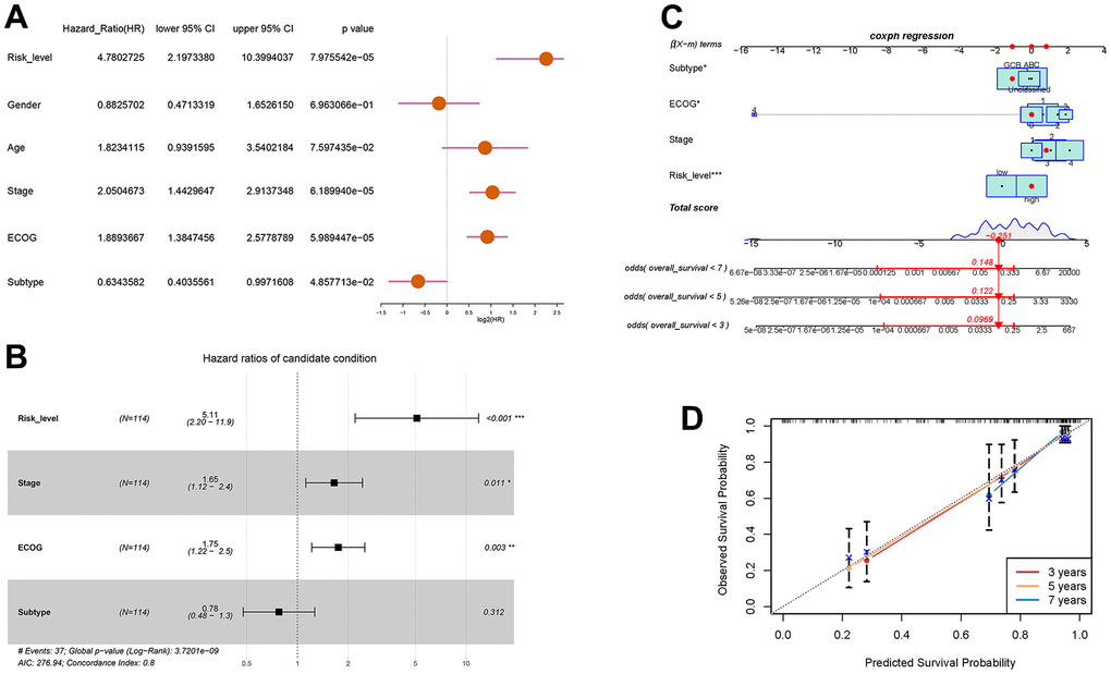 Prognostic prediction of DLBCL patients based on clinical characteristics and risk scores of autophagy- and survival- related genes. (A) Univariate Cox regression analysis of risk level, gender, age, stage, ECOG score, and subtype; (B) Multivariate Cox regression analysis of risk level, stage, ECOG, and subtype; (C) Nomogram for the prediction of 3-year, 5-year, and 7-year overall survival; (D) Calibration curves with nomogram-predicted 3-year, 5-year, and 7-year survival probability and observed survival frequency.