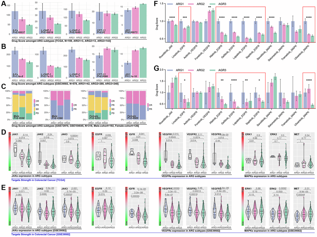 ARGs-based AI model recognizes drug efficiency. (A) Drug scores of 5-Fu, L-OHP-1, L-OHP-2, CPT-11 and JQ1 in ARG sub groups, calculated by OncoPredict package in R4.2.0., data from TCGA, (B) GSE39582. (C) Clinical trials response in ARG subpopulations identified by AI. Small molecule inhibitor targets expression level in ARG subpopulations in (D) TCGA cohort and (E) GES39582 cohort. Small molecule inhibitors sensitivity in ARG subpopulations, in which IGFR, EGFR and MAPK inhibitors hold significant differences in (F) TCGA cohort and (G) GSE39582.