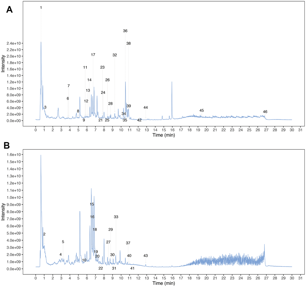 Mass spectrum chromatograms of MCLD. (A) Positive total ion chromatogram of MCLD; (B) Negative total ion chromatogram of MCLD.