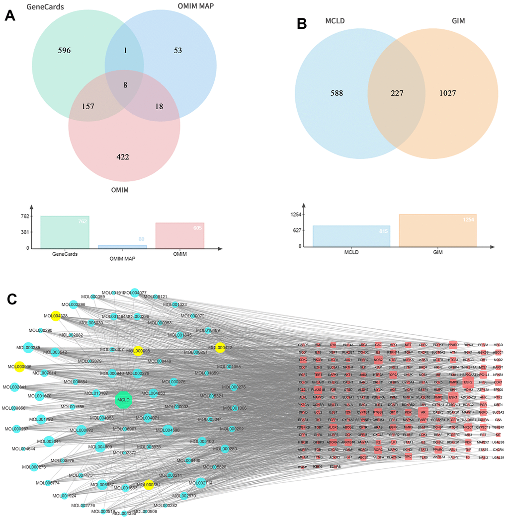 GIM-related targets, common targets, and drug-compound-common target network. (A) GIM target information is obtained through relevant databases. (B) Venny diagram of common targets for MCLD and GIM. (C) Drug-compound-common target network. The red nodes represented the targets of MCLD compounds, whereas the blue and yellow nodes represented MCLD compounds. MOL000098: Quercetin; MOL000422: Kaempferol; MOL000354: Isorhamnetin; MOL000006: Luteolin; MOL004328: Naringenin.