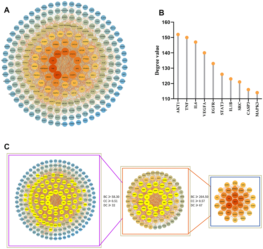 Analysis of the PPI network of potential target proteins and selection of core targets. (A) PPI network diagram of the GIM-related protein of the MCLD intervention constructed by Cytoscape software. (B) The top 10 core targets were selected according to degree value. (C) Selection of core targets based on the relevant topology analysis parameters.