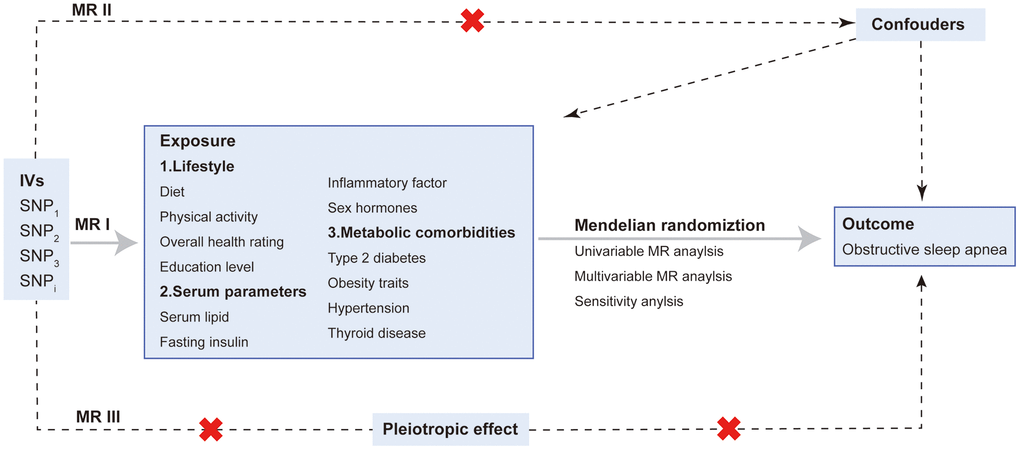 Overview and assumptions of the Mendelian randomization study design. The MR design was used to explore the causal association between four groups of risk factors and OSA, including lifestyle, serum parameters, metabolic comorbidities and sex hormones. The MR design satisfies three major assumptions: MR I, SNPs are strongly correlated with risk factors; MR II, SNPs are irrelevant to confounders; MR III, SNPs affect outcome merely via exposure. Abbreviations: IV: instrumental variable; SNP: single nucleotide polymorphisms.