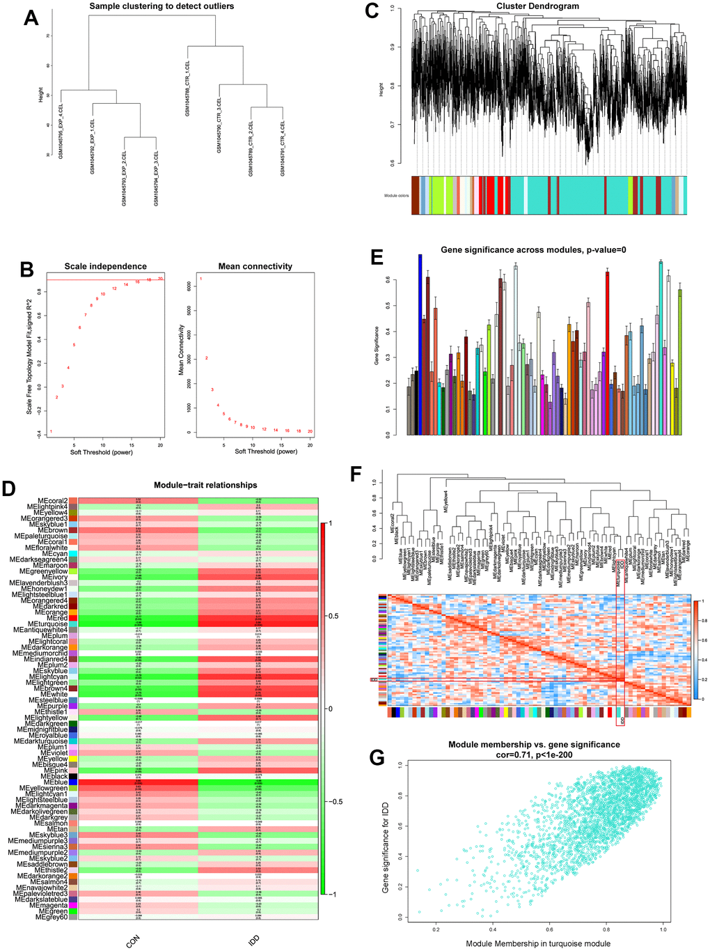 (A) Sample clustering analysis to detect the outliers. (B) Determination of soft threshold power value. Left panel indicated scale-free model fit index; right panel indicated the mean connectivity of these values. (C) Dendrogram branch plot of genes based on dissimilarity measure and assignment modules. (D) Module-trait correlation heatmap between different clinical traits and modules. (E) Gene significance histogram plot of all clustered modules. (F) Eigenvalue correlation heatmap of the modules and clinical traits. (G) Correlation scatter plot between gene-significance and module membership.