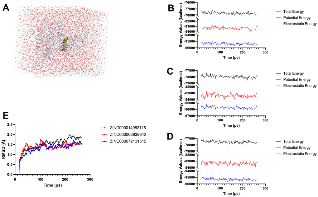 Results of molecular dynamics simulation of these two compounds. (A) Orthorhombic box with an explicit periodic boundary solvation water model. (B–D) Energy values of ZINC000014952116-JAK3, ZINC000003938642-JAK3 complex, and ZINC000072131515-JAK3 complex. (E) RMSD values of these three compounds.