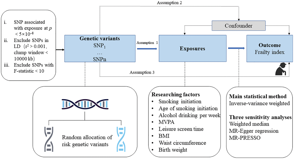 Study design overview. Abbreviations: SNP: single-nucleotide polymorphisms; LD: linkage disequilibrium; BMI: body mass index; MR-PRESSO: Mendelian randomization pleiotropy residual sum and outlier.