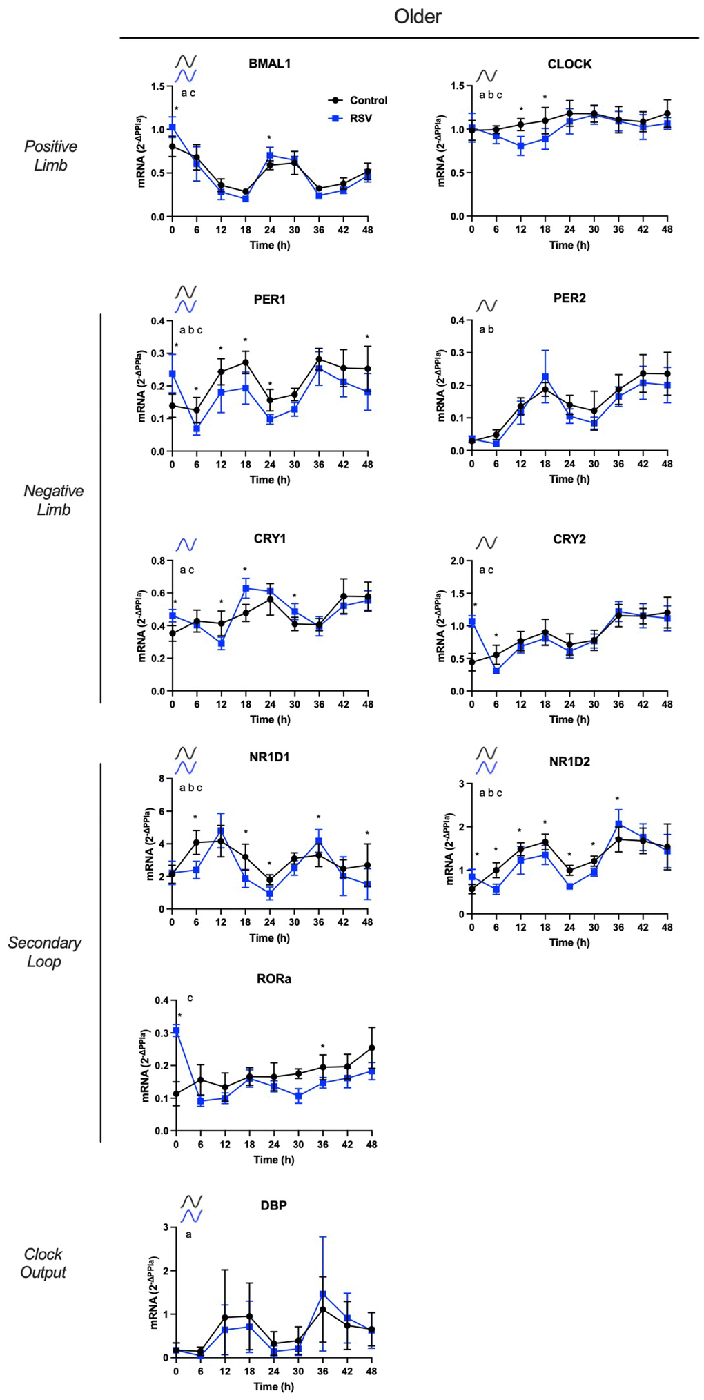 Resveratrol increases in vitro rhythmic gene mRNA expression of core clock components in human adipose-derived progenitor cells (APCs) from older participants. Time course analysis of the in vitro rhythmic gene expression profiles in APCs from older participants after RSV treatment (blue) vs. control conditions (black). APCs were synchronized with 30% fetal bovine serum (FBS) for two hrs and treated with vehicle for 12 hrs. RNA was extracted from APCs, harvested every six hrs from 12 to 60 hrs post-synchronization. Abundance of transcripts was quantified by RT-PCR and normalized to Peptidylprolyl isomerase A (PPIA). Data are presented as mean ± SEM. When ARSER analysis detected a significant rhythm (PPPP