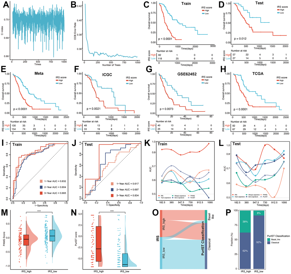 Construction of the IRS. The alteration of C index (A) and OOB rate (B) during 1000-times iteration. The survival analysis was performed based on the training set (C), testing set (D), meta-cohort (E), ICGC (F), GEO (G) and TCGA (H) datasets, respectively. The predictive efficiency of IRS was validated in training set (I), testing set (J). AUC value was used for the comparison of IRS with other five signatures in the training (K) and testing set (L). The distribution of PAMG score (M) and PurIST score (N) between IRS