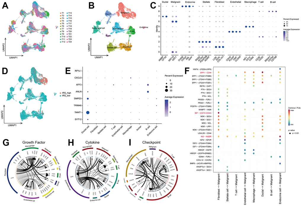 The underlying mechanism of IRS via scRNA-seq analsysis. (A) The distribution of cells after quality check. (B) UMAP plot showing the cells were clustered into 9 types. (C) The expression of marker genes in 9 types of cells. (D) The distribution of IRS score among 9 types of cells. (E) The expression of 8 IRGs in 9 types of cells. Cell-cell communication analysis were implemented via “CellChat” (F) and “iTALK” (G–I) algorithms.