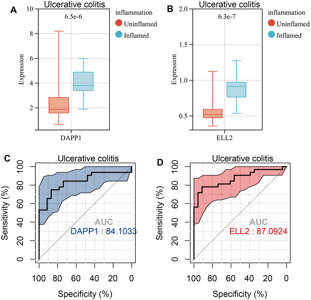 Boxplots of the gene expression levels of DAPP1 (A) and ELL2 (B) in inflamed and uninflamed UC samples in GSE179285 cohort. AUCs of DAPP1 (C) and ELL2 (D) in ROC analysis predicting Inflamed UC samples.