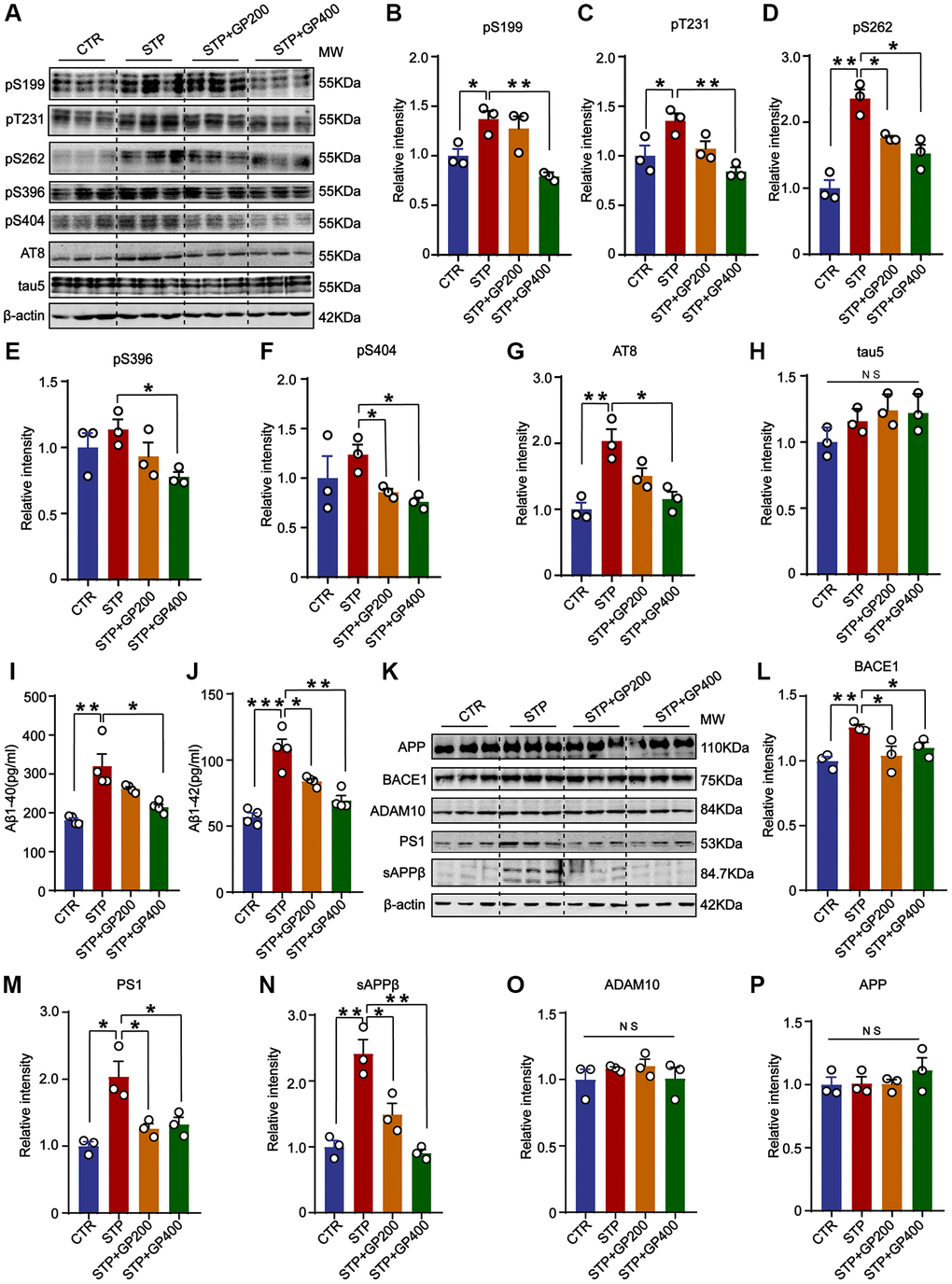 GP blocks tau hyperphosphorylation and Aβ overproduction in STP rats. (A) Western blot for tau phosphorylation levels at the sites of pS199, pT231, pS262, pS396, pS404, AT8 and total tau (tau-5) in rat hippocampus. (B–H) Quantification of the relative protein expression levels (pS199, pT231, pS262, pS396, pS404, AT8 and tau-5) after normalization to the β-actin signal. (I, J) ELISA assay of the levels of Aβ40 and Aβ42 in the rat hippocampus. (K) Western blots for APP, BACE1, ADAM10, PS1 and sAPPβ in rat hippocampus. (L–P) Quantification of the relative protein levels (BACE1, PS1, sAPPβ, ADAM10 and APP) after normalization to the β-actin signal. Data represent mean ± SEM, p-value significance is calculated from one-way ANOVA, n = 3. *p **p ***P 