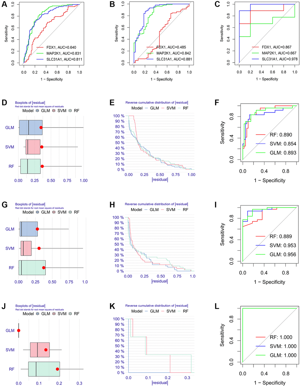 Estimation of the diagnosis efficacy of three K-CRGs in validation set. (A–C) Estimation of the diagnosis efficacy of three K-CRGs for DCM, HCM and ARVC via ROC analysis in validation set. (D–F) The residual boxplots, cumulative residual distribution curves and ROC curves of three machine learning algorithms in DCM validation set. (G–I) The residual boxplots, cumulative residual distribution curves and ROC curves of three machine learning algorithms in HCM validation set. (J–L) The residual boxplots, cumulative residual distribution curves and ROC curves of three machine learning algorithms in ARVC validation set.