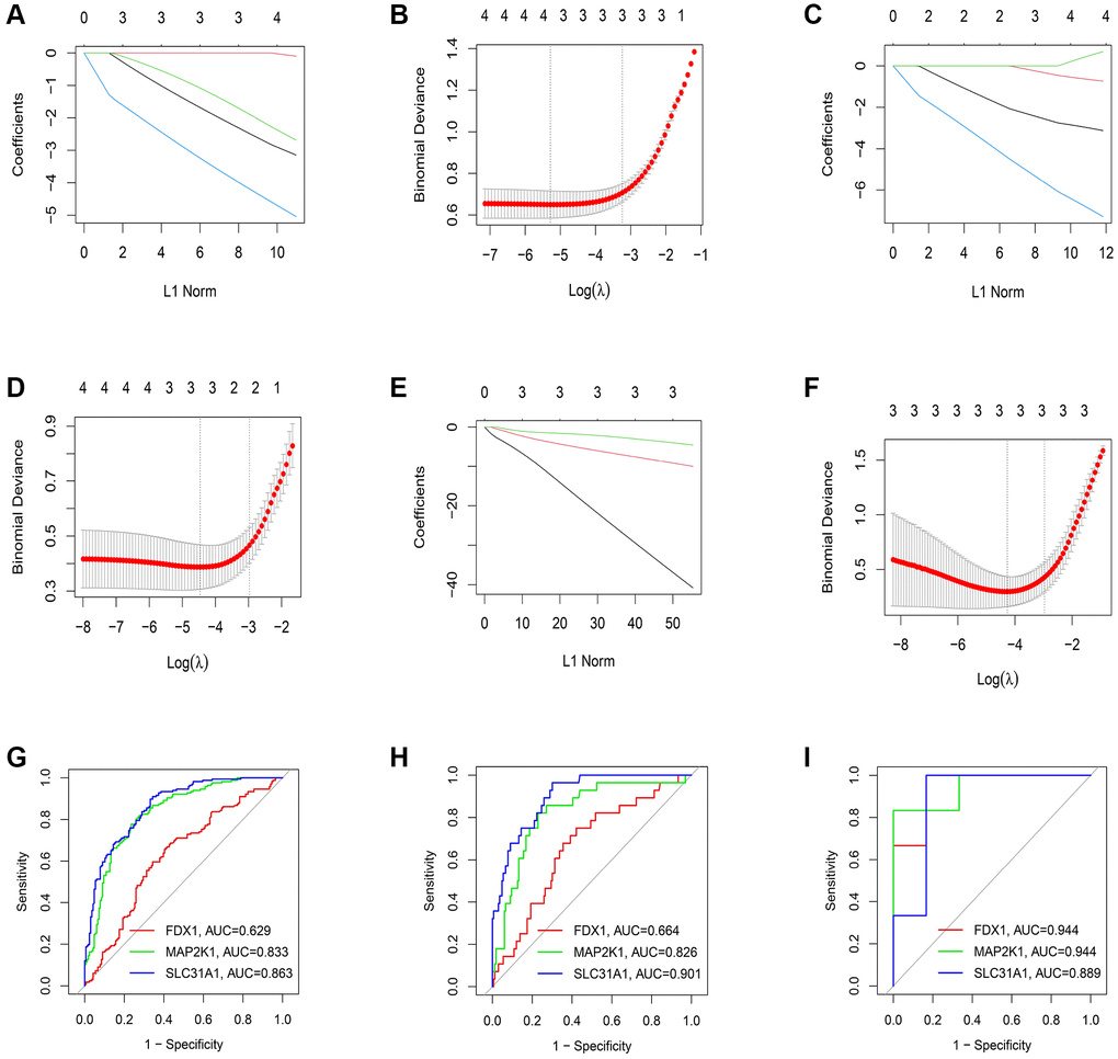 Estimation of the diagnosis efficacy of four shared differential CRGs. (A, B) The LASSO coefficient and most appropriate lambda value of four shared differential CRGs in DCM. (C, D) The LASSO coefficient and most appropriate lambda value of four shared differential CRGs in HCM. (E, F) The LASSO coefficient and most appropriate lambda value of four shared differential CRGs in ARVC. (G–I) Estimation of the diagnosis efficacy of three K-CRGs via ROC analysis in DCM, HCM and ARVC.