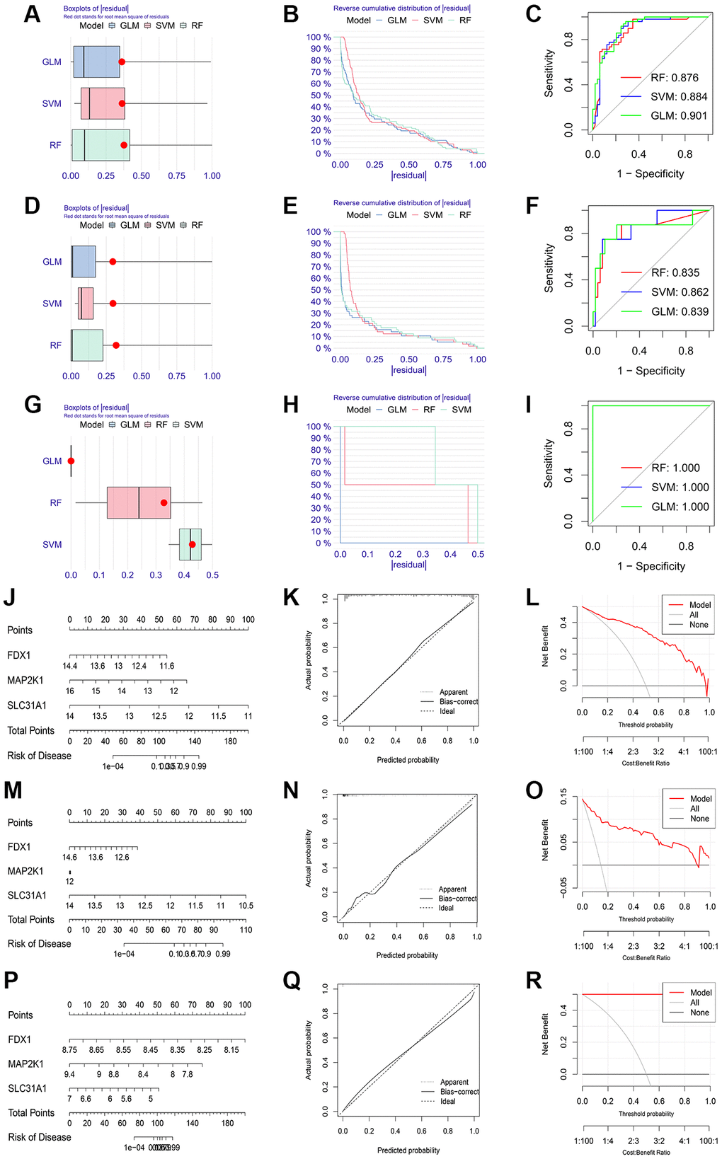 Establishment of diagnosis model on the basis of three K-CRGs. (A–C) The residual boxplots, cumulative residual distribution curves and ROC curves of three machine learning algorithms in DCM. (D–F) The residual boxplots, cumulative residual distribution curves and ROC curves of three machine learning algorithms in HCM. (G–I) The residual boxplots, cumulative residual distribution curves and ROC curves of three machine learning algorithms in ARVC. (J) The nomogram of DCM. (K, L) The calibration curves and DCA of the DCM nomogram. (M) The nomogram of HCM. (N, O) The calibration curves and DCA of the HCM nomogram. (P) The nomogram of ARVC. (Q, R) The calibration curves and DCA of the ARVC nomogram.