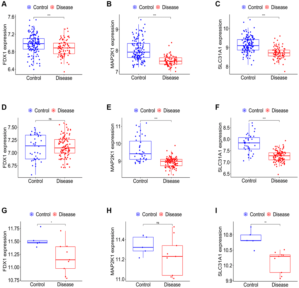 Establishment of the expression levels of three K-CRGs in validation set. (A–C) The expression levels of three K-CRGs in DCM validation set. (D–F) The expression levels of three K-CRGs in HCM validation set. (G–I) The expression levels of three K-CRGs in ARVC validation set.