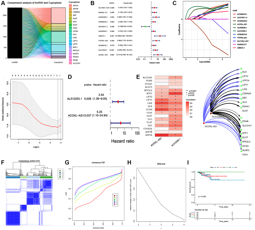 Consensus clustering analysis of cuproptosis-related lncRNAs and LASSO regression model. (A) Coexpression analysis of IncRNA and cuproptosis. (B) Univariate Cox regression analysis of cuproptosis-related lncRNAs. (C) LASSO regression model for the prognostic analysis of the lncRNA signature. (D) Forest plot visualing the results of multivariate Cox regression. (E) Correlation between two lncRNAs and 19 cuproptosis-related gene. Network visualization and analysis of lncRNAs and cuproptosis-related gene with Cytoscape. (F) Consensus matrix heatmap defining three clusters (k = 4) and their correlation area. (G, H) Cumulative distribution function (CDF) when k = 2–6. (I) Kaplan–Meier curve of the 4 clusters of patients with EEA in the TCGA cohort.