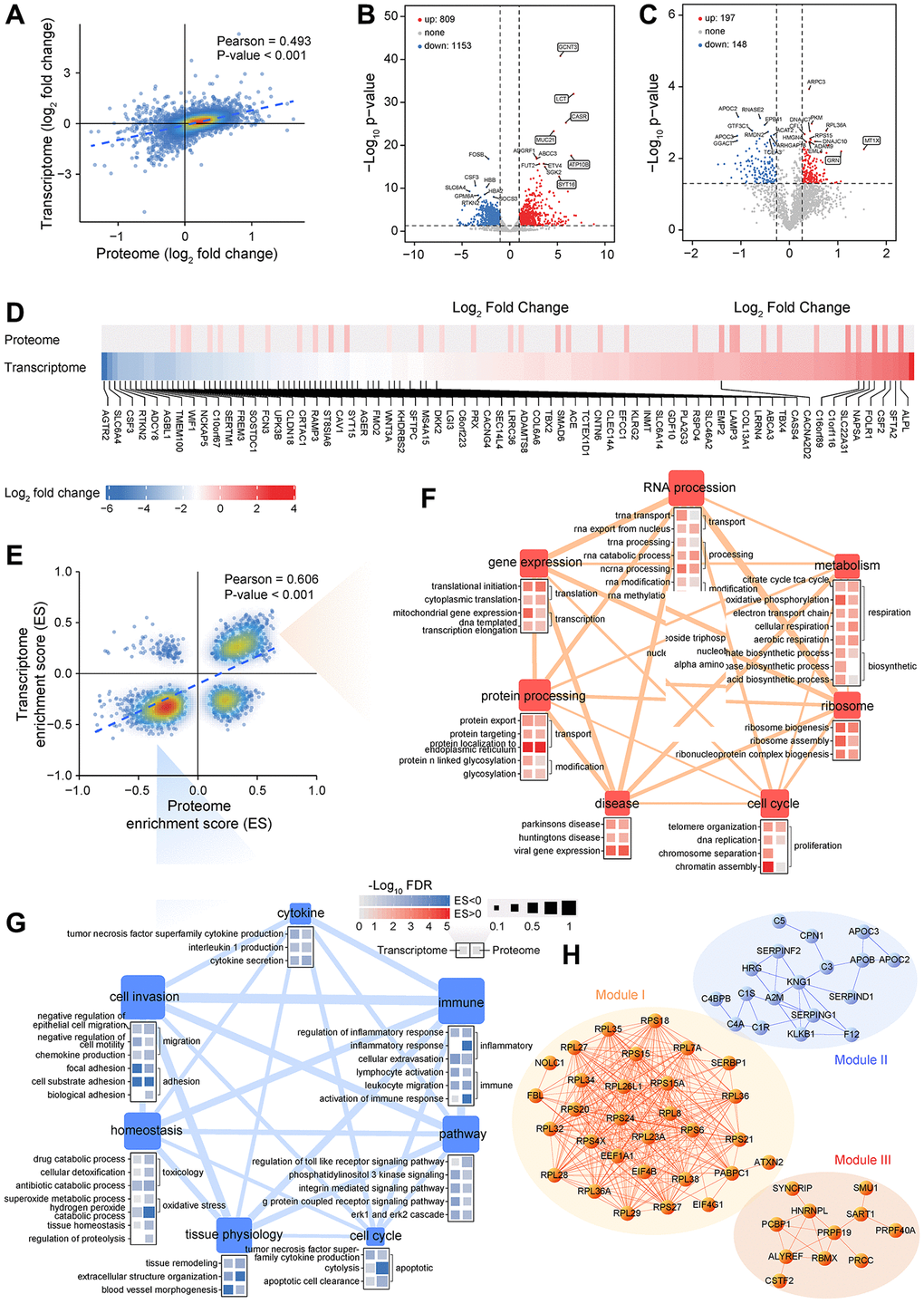 Integrative analysis of transcriptomics and proteomics data generated from LUAD samples. (A) Correlation between RNA expression and protein expression. (B, C) Analysis of differentially expressed genes between LUAD and non-tumor samples at transcriptional (B) or translational level (C). (D) Fold change in RNA and protein levels of lung signature-associated genes. (E) Correlation between transcriptome and proteome gene set enrichment scores. (F, G) Analysis of biological processes or pathways that are significantly activated (F) or inhibited (G) in LUAD based on GSEA. (H) Interaction network analysis of DEPs highlights three functional modules.