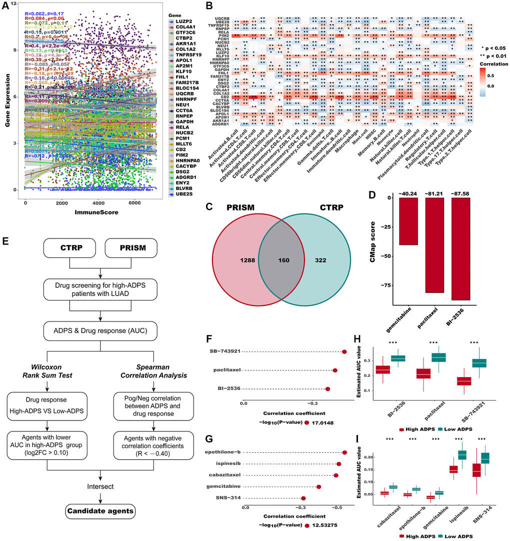 Identification of candidate agents with higher drug sensitivity in high ADPS group. (A) The correlation of gene expression and immune score. (B) The correlation of gene expression and immune cell types. (C) A Venn diagram for summarizing included compounds from CTRP and PRISM datasets. (D) Barplot of gemcitabine, paclitaxel, and BI-2536 CMap scores in patients with high ADPS. (E) Schematic outlining the strategy to identify agents with higher drug sensitivity in high ADPS patients. (F, G) The result of Spearman’s correlation analysis and differential drug response analysis of CTRP-derived compounds (F) and profiling relative inhibition simultaneously in mixtures (PRISM)-derived compounds (G). (H, I) The results of differential drug response analysis of CTRP -derived compounds (H) and PRISM -derived compounds (I), The lower the value of the y-axis, the greater the drug sensitivity. *p **p ***p 