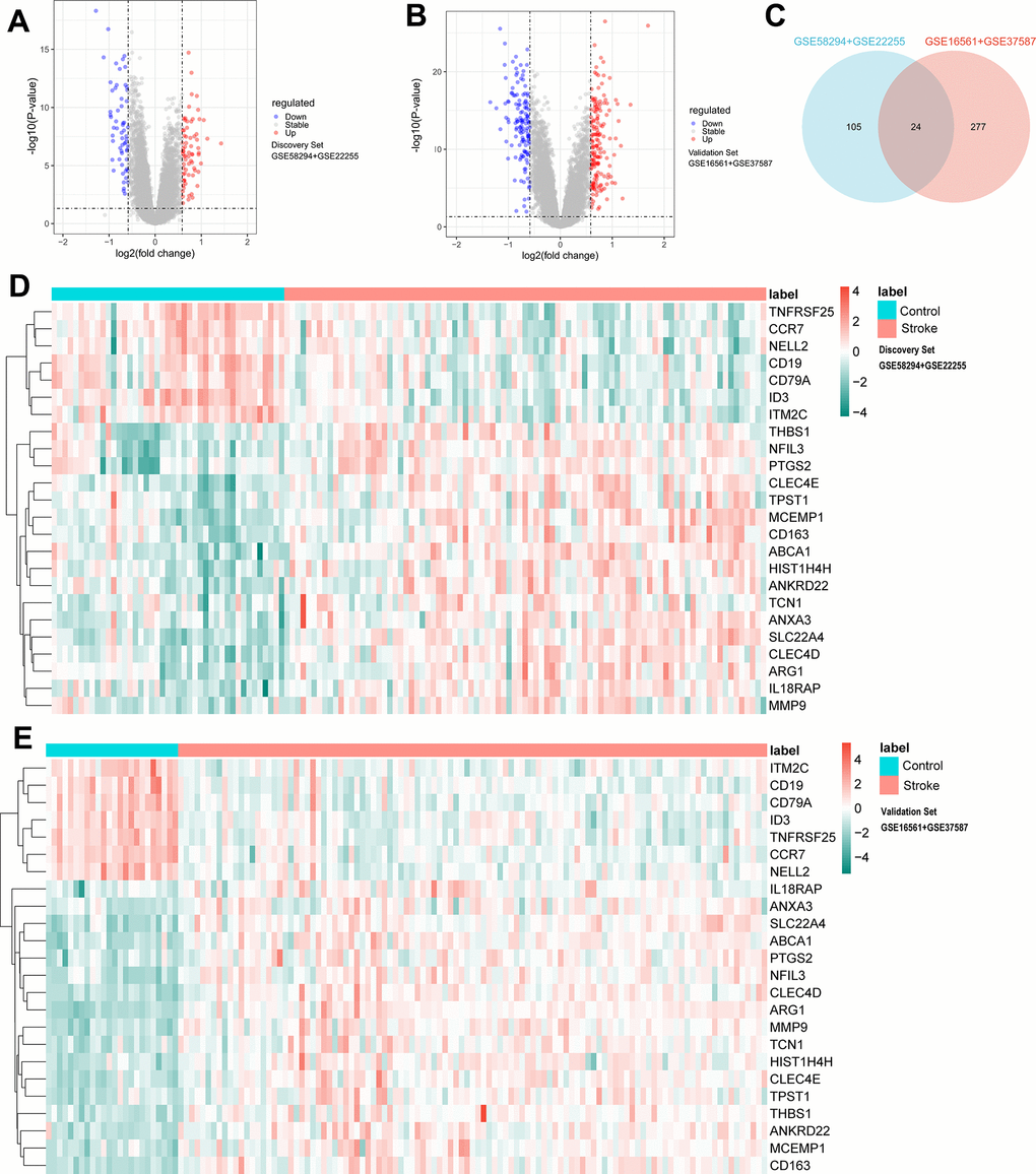 Difference analysis of identification criteria: P 2FC| >0.585. (A) Volcano plots for DEmRNAs in discovery set (71 upregulated and 60 downregulated). (B) Volcano plots for DEmRNAs in validation set (166 upregulated and 135 downregulated). (C) Venn diagram showing the common 24 DEmRNAs between discovery set and validation set. (D) Heatmap plot showing the common 24 DEmRNAs in discovery set. (E) Heatmap plot showing the common 24 DEmRNAs in validation set.