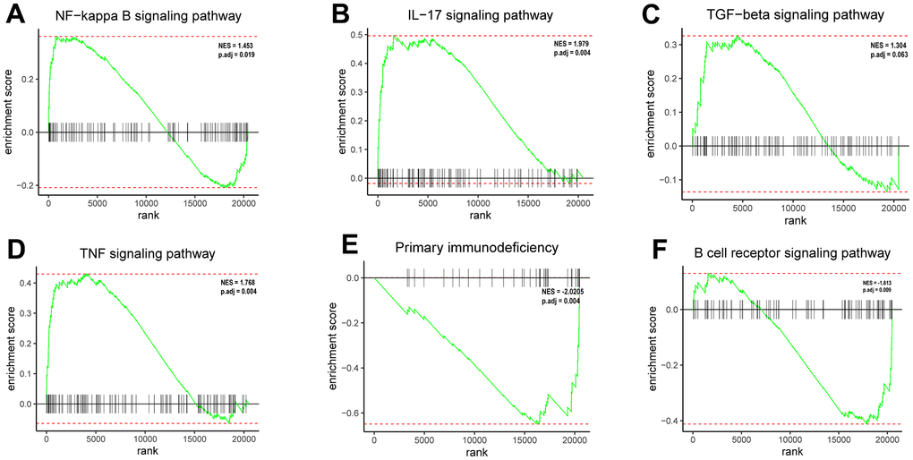 Enrichment plots from GSEA. (A) The DEGs positively correlated with the NF-κB signaling pathway. (B) The DEGs positively correlated with the IL-17 signaling pathway. (C) The DEGs positively correlated with the TGF-β signaling pathway. (D) The DEGs positively correlated with the TNF signaling pathway. (E) The DEGs negatively correlated with the primary immunodeficiency signaling pathway. (F) The DEGs negatively correlated with the B cell receptor signaling pathway.