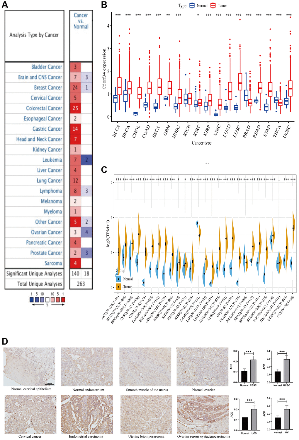Comparison of C5orf34 expression level in several malignancies and its matching normal tissues based on (A) Oncomine platform, (B) TCGA cohort, (C) TCGA and GTEx cohorts. (D) Representative images and quantification analysis of C5orf34 immunohistochemistry in gynecologic cancers (***P **P *P 