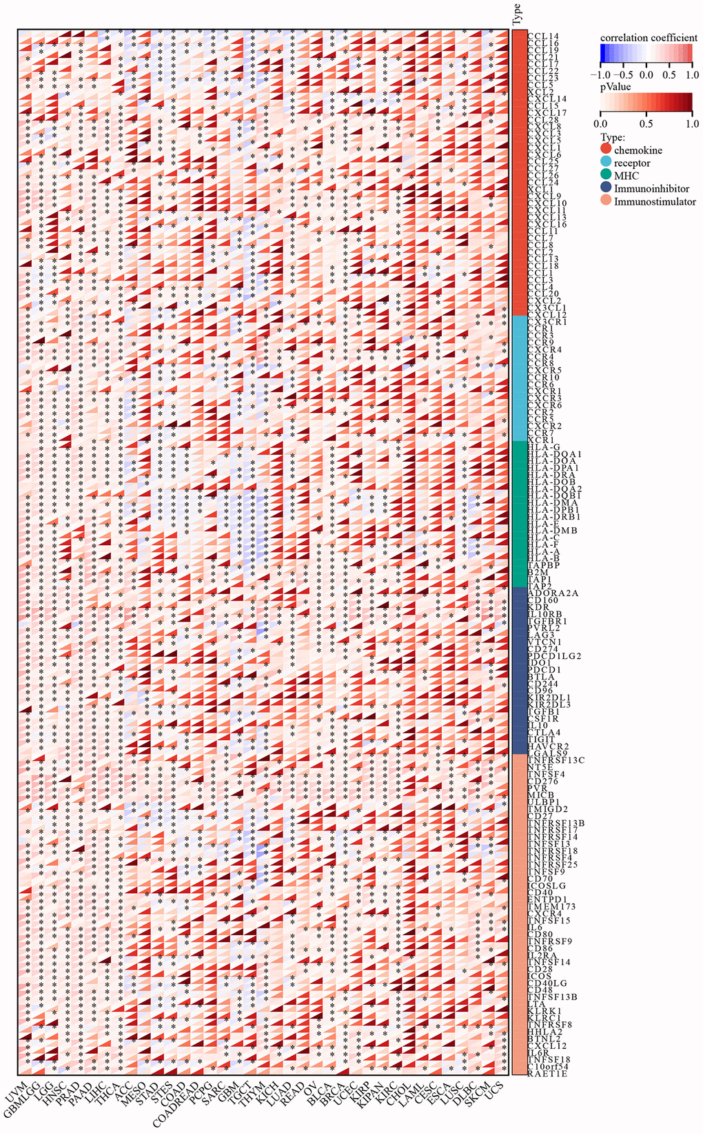 Relationship of C5orf34 expression with immune-related genes (including immunostimulators, chemokine receptors, chemokine ligands, immunoinhibitors, and genes encoding major histocompatibility complex).