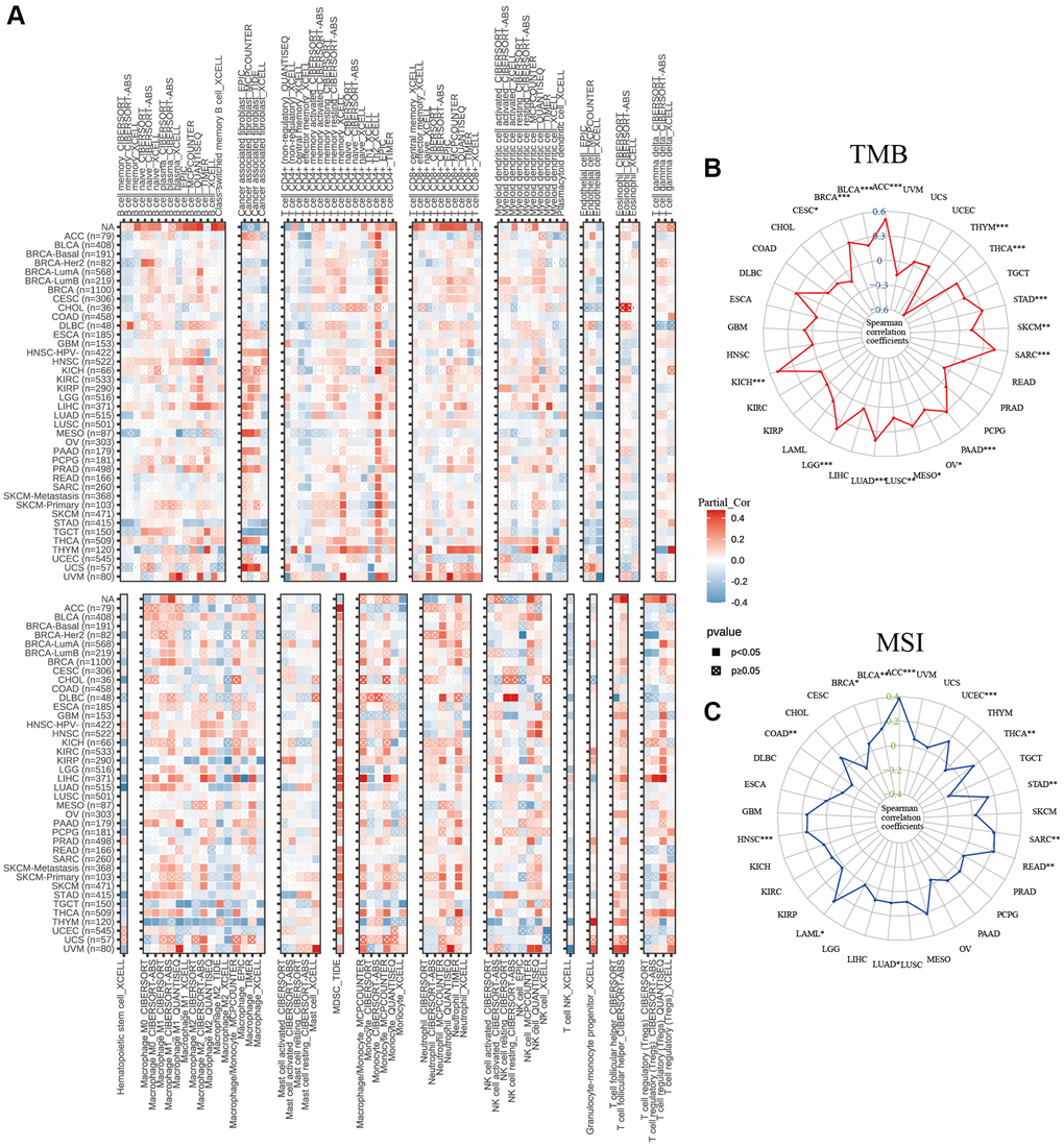 Relationship of C5orf34 expression wtih (A) immunocyte infiltration, (B) tumor mutation burden, and (C) microsatellite instability in pan-cancer.