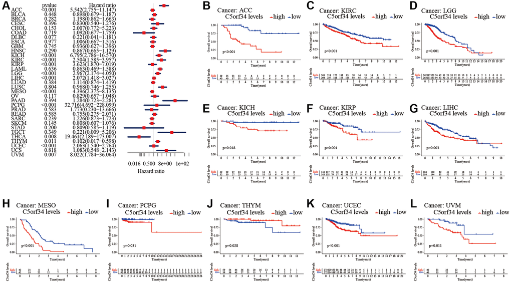 Relationship of C5orf34 expression with the overall survival in pan-cancer. (A) The forest plots of C5orf34 in pan-cancer’s overall survival; (B–L) C5orf34’s survival curves as regards overall survival of pan-cancer samples.