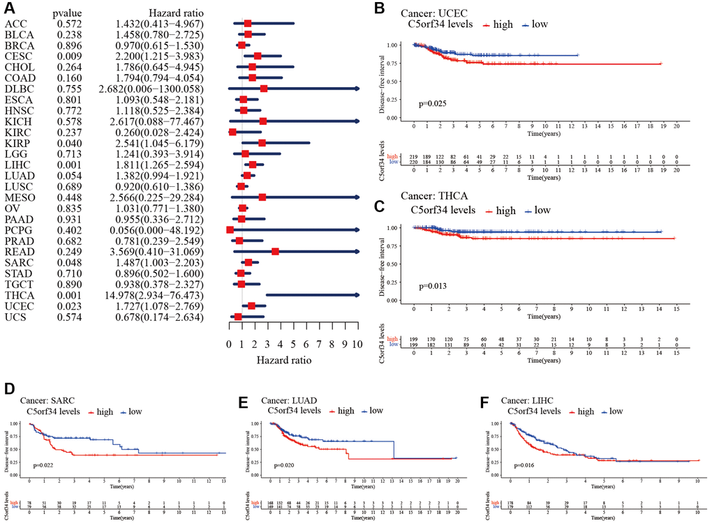 Relationship of C5orf34 expression with disease-free interval in pan-cancer. (A) The forest plots of C5orf34 in pan-cancer’s disease-free interval; (B–F) C5orf34’s survival curves as regards disease-free interval of pan-cancer samples.