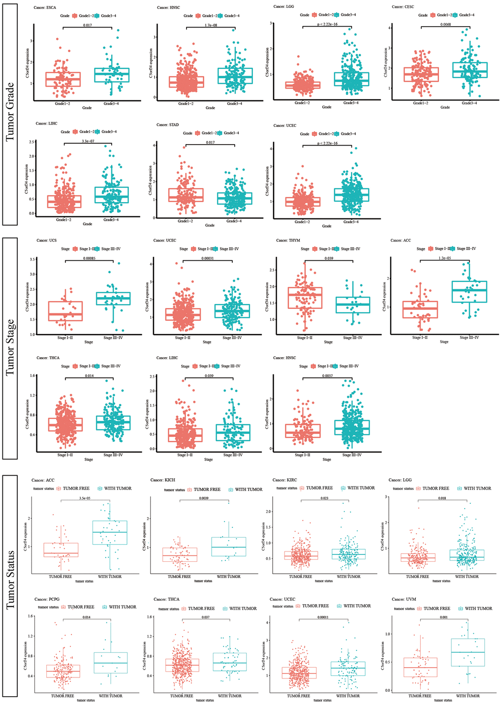 Relationship of C5orf34 expression with tumor stage, tumor grade, and tumor status.