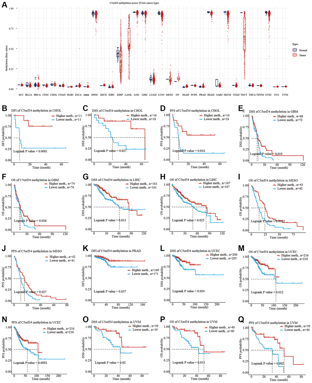 C5orf34 methylation landscape on TCGA cancer types. (A) The methylation level of C5orf34 differs dramatically between normal and malignant tissues; (B–Q) In UCEC, LIHC, PRAD, MESO, CHOL, GBM, and UVM, there was a correlation between C5orf34 methylation and patient prognosis.