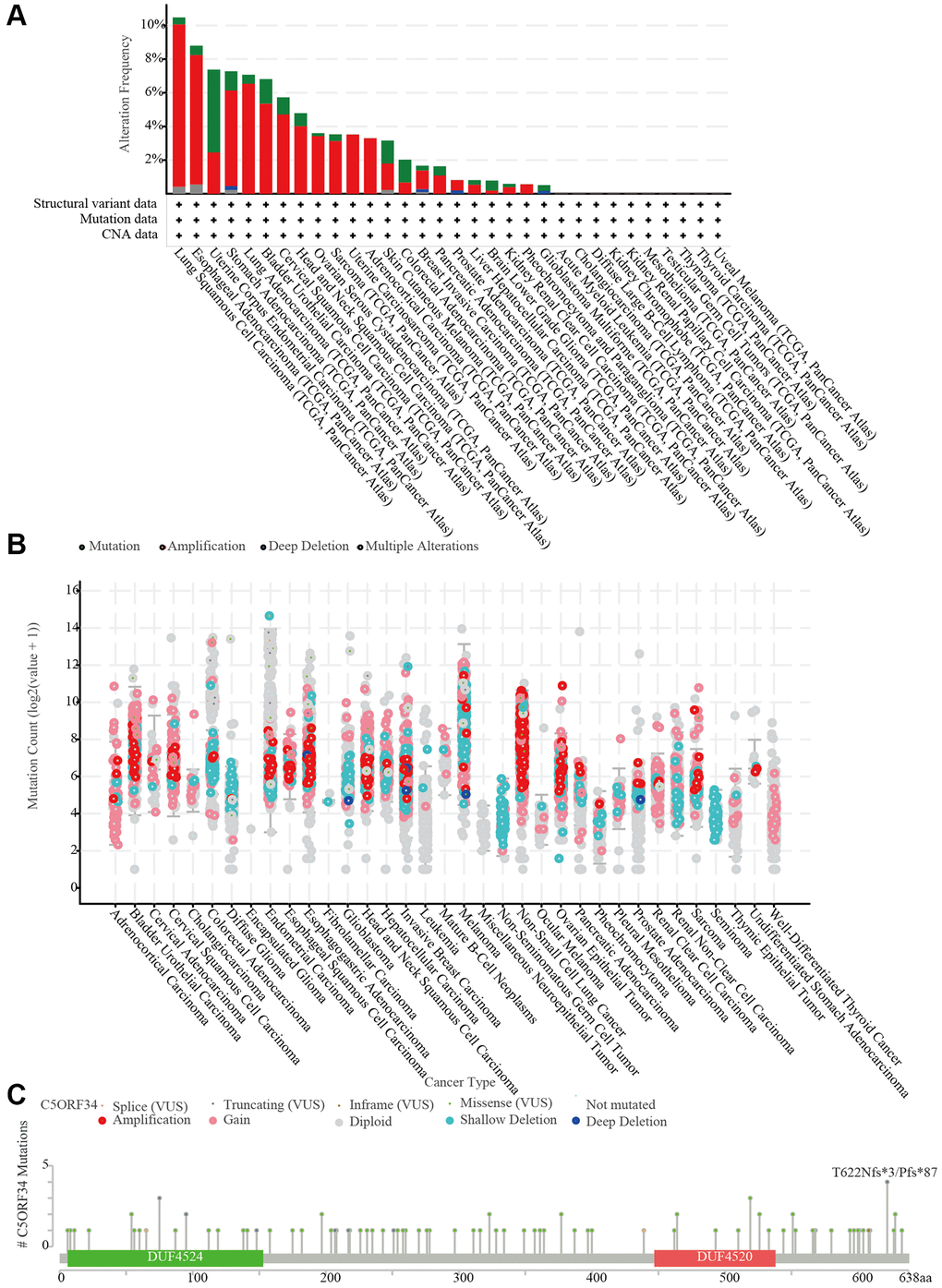 C5orf34 mutations and copy number alterations. (A) The cBioPortal database shows the mutation level of C5orf34; (B) The cBioPortal database shows the incidence of C5orf34 mutations in several TCGA pan-cancer investigations; (C) From the cBioPortal database, a mutation diagram of C5orf34 in several cancer types throughout protein domains.