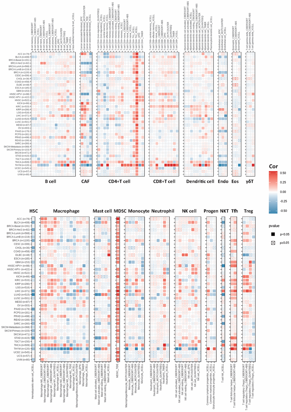 The correlations of KIFC1 expression and the infiltration levels of B cells, CAFs, CD4+ T cells, CD8+ T cells, dendritic cells, Endo, Eos, γδT cells, HSCs, macrophages, mast cells, myeloid-derived suppressor cells (MDSCs), monocytes, neutrophils, lymphoid progenitor cells, myeloid progenitor cells, monocyte progenitor cells, Tfh, NK T cells, and Tregs. Positive correlation in red and negative correlation in blue.