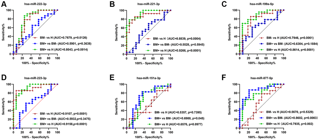 ROC curve analysis of the six key exo-miRNAs. (A) hsa-miR-222-3p. (B) hsa-miR-221-3p. (C) hsa-miR-199ª-5p. (D) hsa-miR-223-3p. (E) hsa-miR-151ª-3p. (F) hsa-miR-877-5p. The ROC curves to discriminate the BM- group from healthy controls (H) in the validation set are marked by red lines; the ROC curves to differentiate the BM+ group from the BM- group in the validation set are marked by blue lines; the ROC curves to differentiate the BM+ group from H in the validation set are marked by green lines. Abbreviations: ROC: receiver operator characteristic curve; BM+: patients with bone metastasis; BM−: patients without bone metastasis.