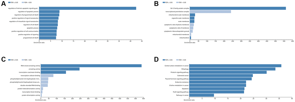 GO and KEGG analysis of hub genes using the WebGestalt database. Top 10 significant terms of GO BP (A), CC (B), MF (C), and KEGG pathway (D) enrichment analysis. Abbreviations: BP: biological process; CC: cellular component; MF: molecular function.