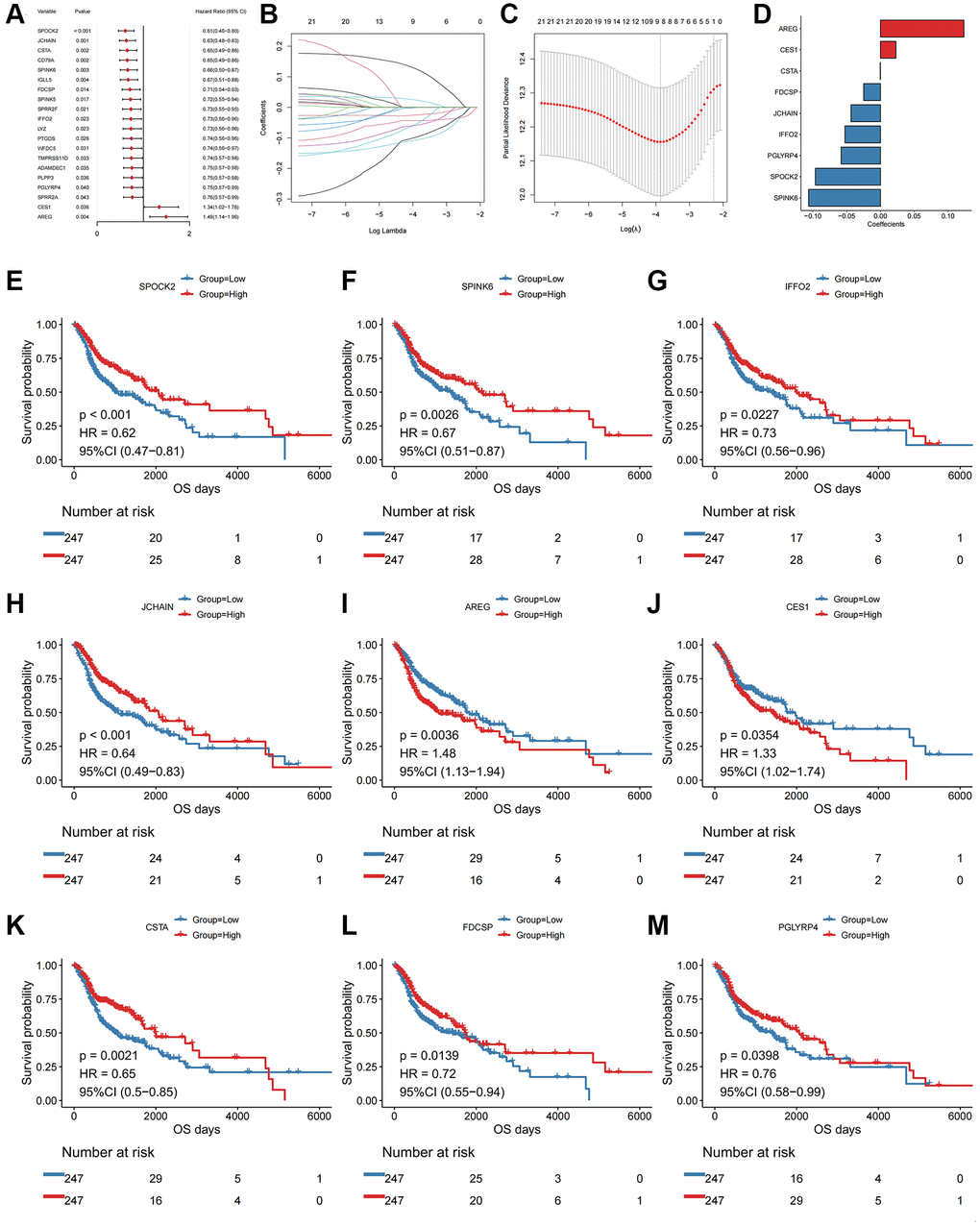 Univariate Cox and LASSO regression analysis of the DEGs. (A) Forest plot of the top 20 prognostic genes. (B) Confidence interval of each Lambda in the LASSO regression analysis. (C) Trajectory change of LASSO regression independent variables, the abscissa axis indicates the logarithm of the independent variable Lambda, and the vertical axis indicates the coefficient of the independent variable. (D) LASSO regression coefficient of key prognostic genes. The abscissa axis represents coefficients; The vertical axis represents different gene names. (E) Kaplan-Meier curve of SPOCK2 involved in the oxidative stress-related prognostic signatures. (F) Kaplan-Meier curve of SPINK6 involved in the oxidative stress-related prognostic signatures. (G) Kaplan-Meier curve of IFFO2 involved in the oxidative stress-related prognostic signatures. (H) Kaplan-Meier curve of JCHAIN involved in the oxidative stress-related prognostic signatures. (I) Kaplan-Meier curve of AREG involved in the oxidative stress-related prognostic signatures. (J) Kaplan-Meier curve of CES1 involved in the oxidative stress-related prognostic signatures. (K) Kaplan-Meier curve of CSTA involved in the oxidative stress-related prognostic signatures. (L) Kaplan-Meier curve of FDCSP involved in the oxidative stress-related prognostic signatures. (M) Kaplan-Meier curve of PGLYRP4 involved in the oxidative stress-related prognostic signatures.