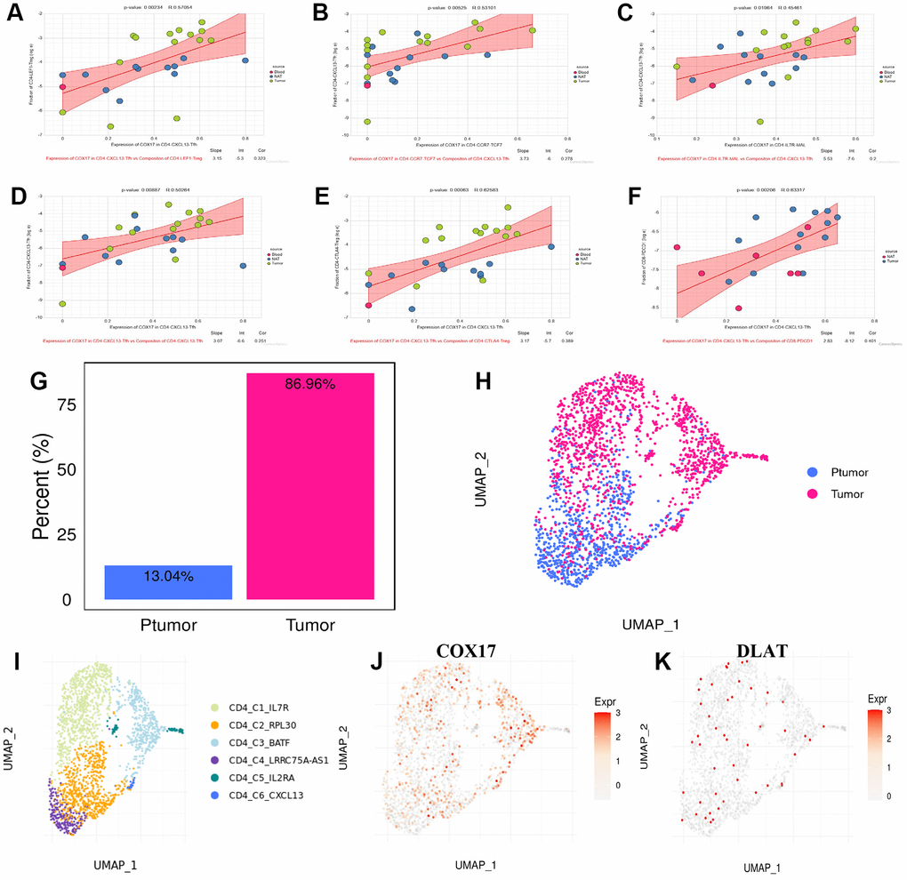 CD4-CXCL13-Tfh drives suppressive tumor microenvironment formation through upregulating the COX17 expression (A–F) Association between expression of COX17 and cell composition (G) Histogram of CD4-CXCL13-T composition in cancer and paracancer (H) UMAP map of cancer and paracancer (I) UMAP show the landscape of cell types of CD4+T clusters. (J) Expression and distribution of COX17 and (K) DLAT.