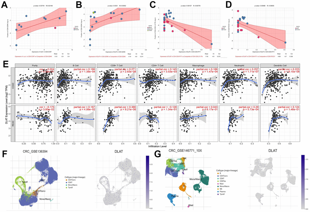 DLAT shapes the positive tumor microenvironment. (A–D) Correlation between expression of DLAT and cell composition (E) DLAT expression and immune cell infiltration. (F) immune cell landscape and DLAT expression distribution after anti-PD-1treatment (G) immune cell landscape and DLAT expression distribution without anti-PD-1 treatment.