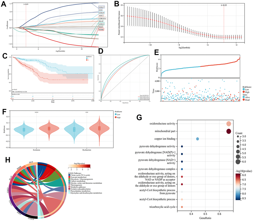 The CRGs-related prognostic Model construction (A, B) The LASSO regression analysis and partial likelihood deviance on the CRGs (C) KM and (D) ROC curves demonstrating the predictive significance within the training cohort. (E) The RiskScore and survival result of each case (F) TIDE scores of high- and low-risk groups (G) KEGG analyses of 9 prognostic CRGs (H) GO analyses of 9 prognostic CRGs.